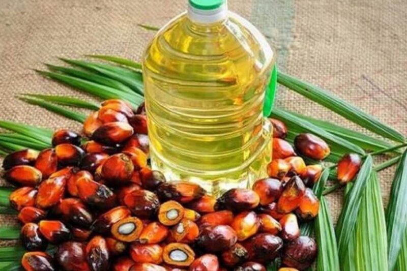 cheapest cooking oil in india, when cooking oil price will decrease, will cooking oil prices go up, cheapest cooking oil in the world, cooking oil price 15 kg, why sunflower oil prices are rising in india, edible oil price today, why food oil prices are rising in india,