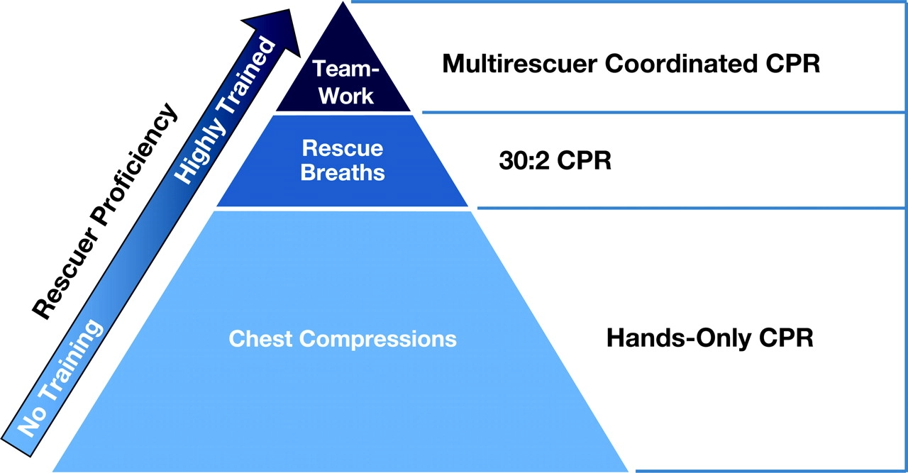 Resuscitation triangle roles