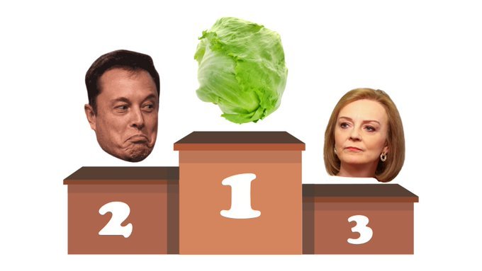 Tweet Pokes Fun At Elon Musk Using Liz Truss' Lettuce Joke .