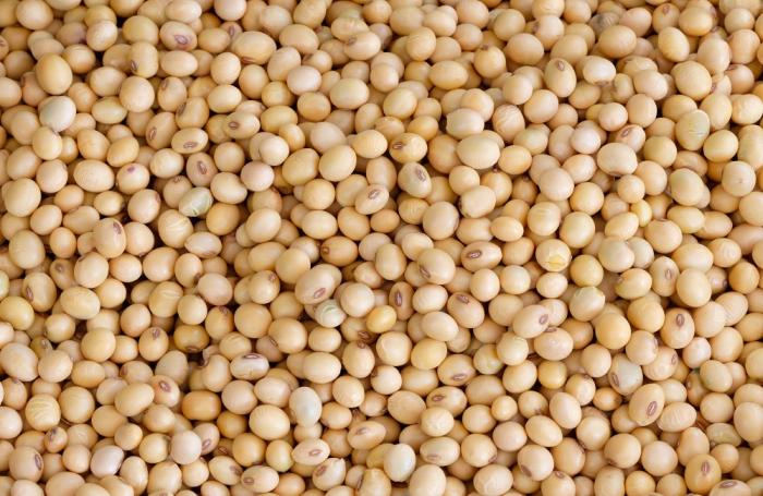 How Much Soy Is Used For Animal Feed?