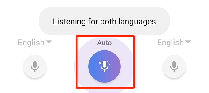 Google Translate auto